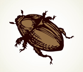 Chafer. Vector drawing of a big beetle