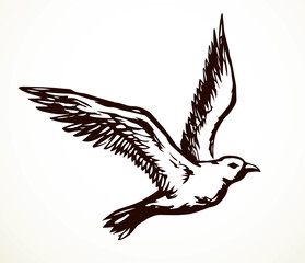 Bird in flight. Vector drawing