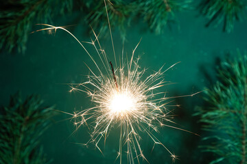Burning sparkler with sparkles on a long shutter speed. Dark green background decorated with branches fir tree and pine