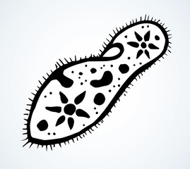 Paramecium caudatum. Vector drawing icon