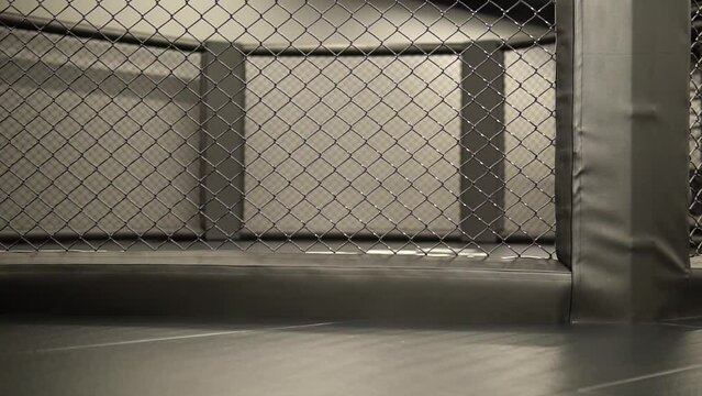 Mma cage concept of a sporty lifestyle, healthy mma arena cage empty competition, from arts stage in lights from number ultimate, jujitsu karate. Hand muscular tournament, throw kickboxing