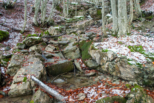 River water stagnant between stones and covered with red leaves and snow