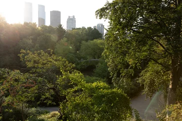 Papier Peint photo Pont de Gapstow Central Park Summer Foliage