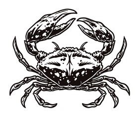 Monochrome vintage crab isolated on a white background vector