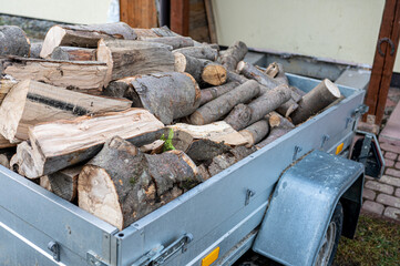A trailer filled with firewood by the house.