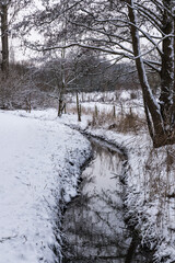 Frozen creek, bare trees snow landscape in a Brussels park