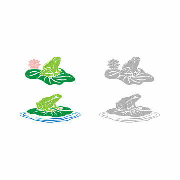 frog. Green cute frog, egg mass, tadpole and frog. Aquatic plant, water lily leaf, toad wild nature vector life set.