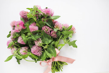 spring bouquet of pink clover isolated on white background and space for text 