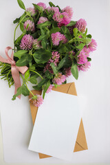 spring bouquet of pink clover isolated on white background and space for text 