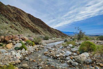Mountain stream in the desert, along the Borrego Palm Canyon Trail in the San Ysidro Mountains, Anza-Borrego Desert State Park, California, USA 
