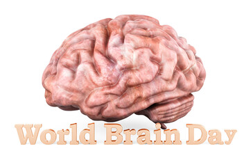 World brain day, concept. 3D rendering