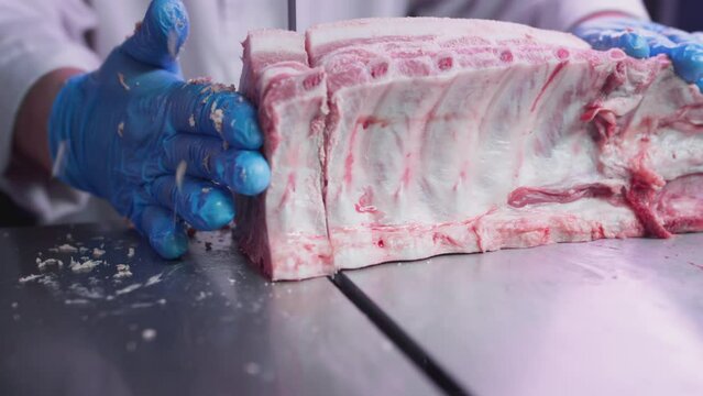 Industrial processing of meat. A man cook cuts a piece of tenderloin in a butcher's shop on a machine with a band saw. Ribeye or marbled beef. Ribs for restaurants, slaughterhouse. Slow motion, macro