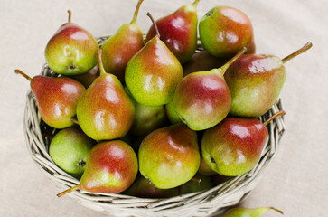 Pears ripe in a wicker basket on the table close-up. Summer harvest of vitamins.