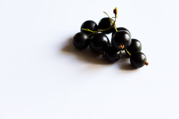 blackcurrant on a white background with space for text.