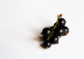 blackcurrant on a white background with space for text.
