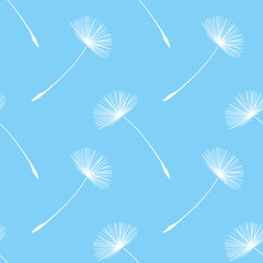 Seamless pattern with delicate white dandelion flower heads on baby blue background