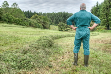 Farmer looks into the small valley on his mown meadow and hopes that it will not rain.