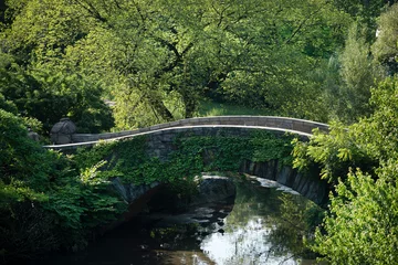 Photo sur Plexiglas Pont de Gapstow Pont de Central Park Gapstow
