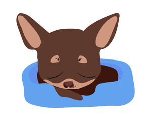 A small dog sleeps in a small bed. Sleeping pet. Flat vector illustration. Eps10