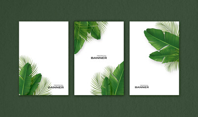 Set of tropical leaf background template