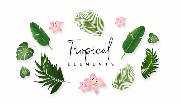Realistic tropical plants floral concept