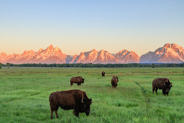 Tetons