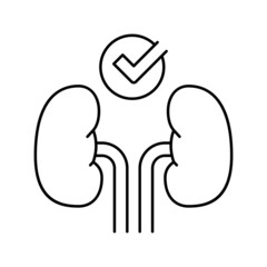 healthy kidneys line icon vector illustration