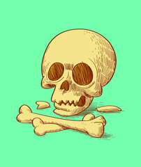  hand drawn human skull with bones