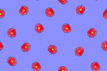 Seamless pattern with red flowers painted in watercolor on a blue background. 