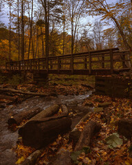 Fall bridge 