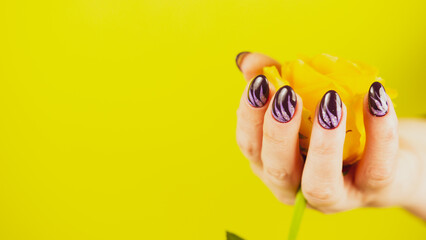 Fototapeta na wymiar Adult woman's hand with yellow flower. Crop unrecognizable person with manicure holding gerbera on yellow background.