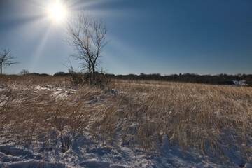 Snow at White Rock Lake, Dallas, Texas.