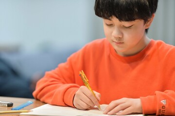 勉強する小学生の男の子