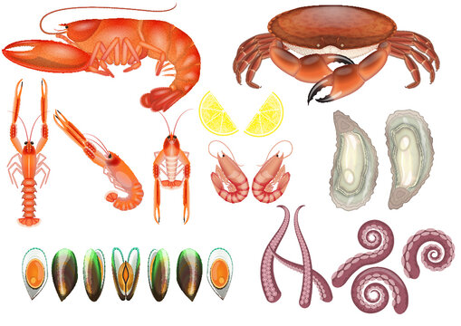 Seafood selection