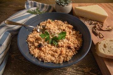 Bowl of Risotto with Cheese, Dried Porcini Mushrooms and Fresh Bread on a natural wood table
