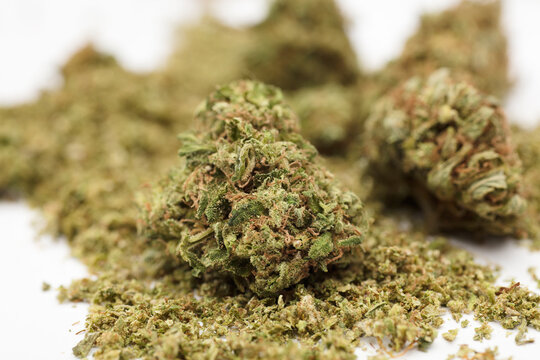 medical marijuana buds, isolated on white background