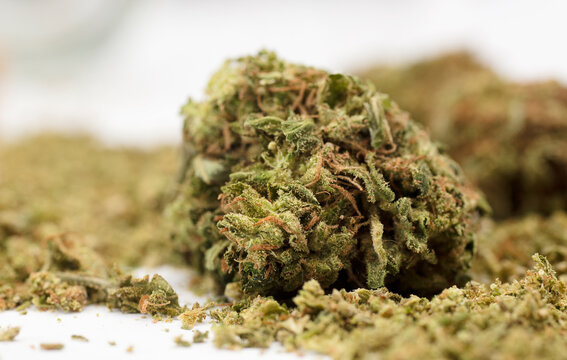 medical marijuana buds, isolated on white background