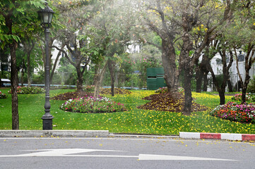 A shady garden covered with green trees shining for design and decoration in garden.