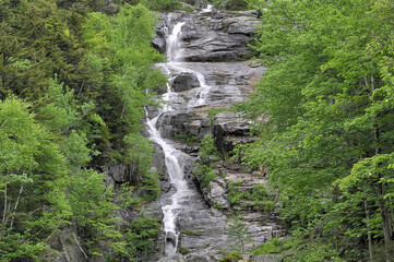 Fototapeta na wymiar Scenic Silver Cascade falls framed by lush green springtime foliage in Crawford Notch State Park, New Hampshire. This waterfall tumbles over rocky ledges, plunging 600 feet down a steep mountainside.