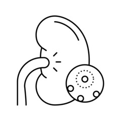 infection kidney line icon vector illustration