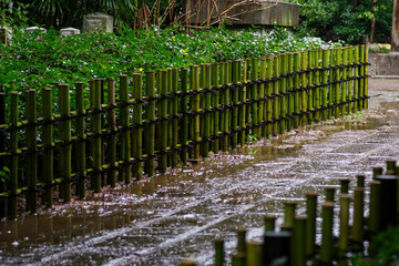 雨が降り石畳が濡れている。竹でできた柵が青く輝いている