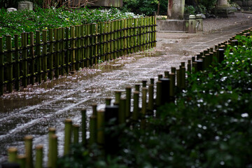 雨が降り石畳が濡れている。竹でできた柵が青く輝いている