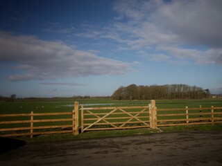 Fototapeta premium fence in the field