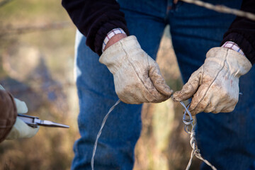 Cattleman fixing fence on the beef cattle ranch - obrazy, fototapety, plakaty