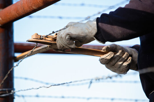 Closeup of cowboy fixing barbed wire fence on the ranch to protect livestock