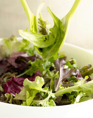 Spring Mix Green Salad Serving
