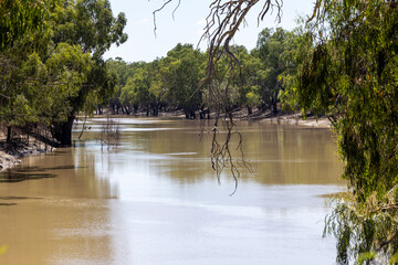 Darling River at Bourke New South Wales Australia