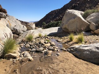 Palm Canyon, Anza Borrego State Park