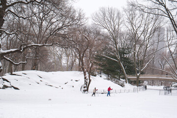 Cross Country Skiing in Central Park NY
