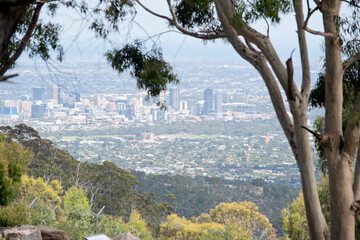 this is a view of Adelaide from the hills in Cleland - obrazy, fototapety, plakaty